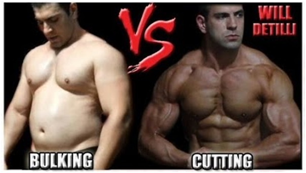 Bulking e Cutting é coisa de não atleta. Tem dificuldade com dieta